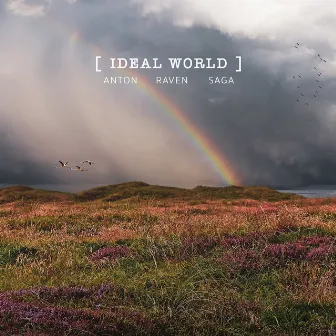 Ideal World by Unknown Artist