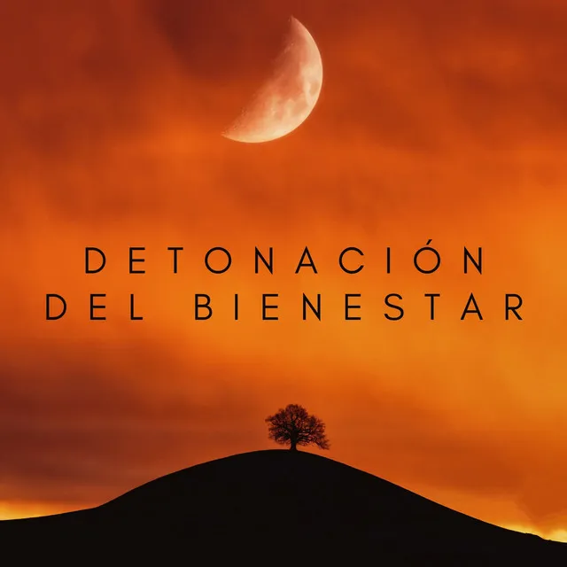 Detonación Del Bienestar