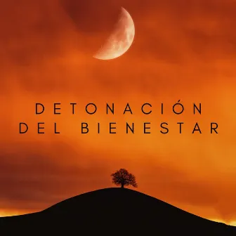 Detonación Del Bienestar by Drones Congelados