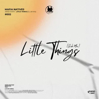 Little Things by Mafia Natives