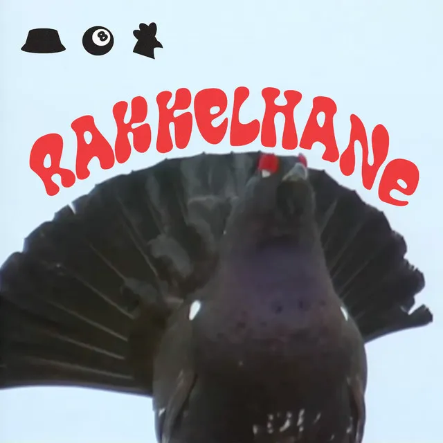 Rakkelhane