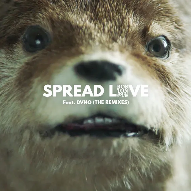 Spread Love (Paddington) [feat. DVNO] - Paul Woolford Remix