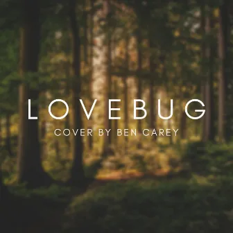 Lovebug by Ben Carey