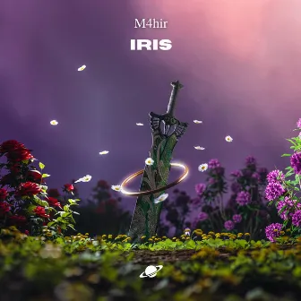 Iris by 