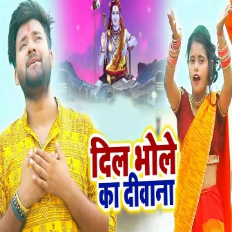 Dil Bhole Ka Diwana by Mayank Singh Munmun