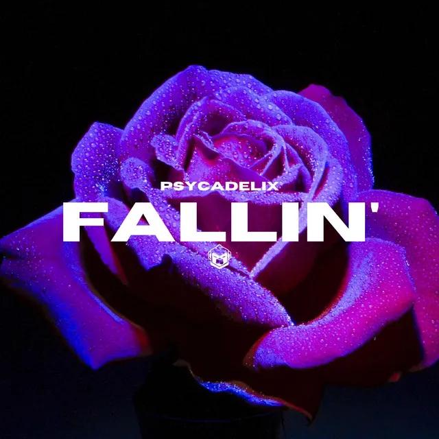 FALLIN'