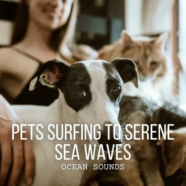 Harmony of Oceanic Pet Play