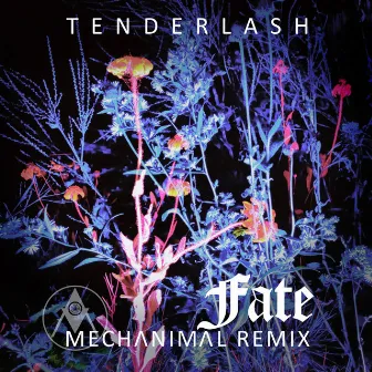 Fate (Mechanimal Remix) by Mechanimal