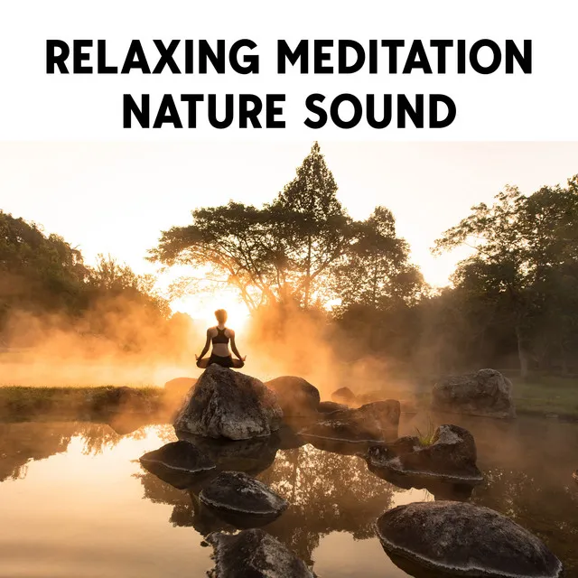 Relaxing Meditation Nature Sound: 3d Sound Relaxing Nature, Perfect Stimulation For Your Brain