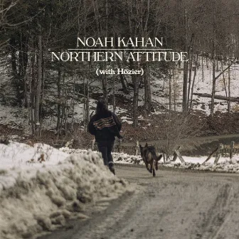 Northern Attitude (with Hozier) by Hozier