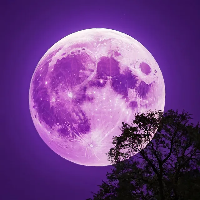 Violet Moon