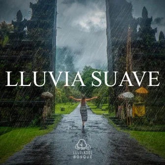 Lluvia Suave by Lluvia del Bosque