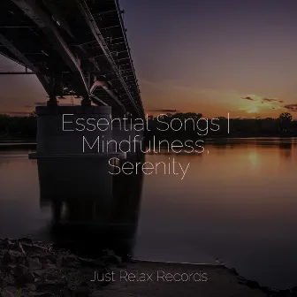 Essential Songs | Mindfulness, Serenity by CANCIONES DE CUNA