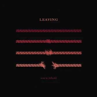 Leaving by Sara Idani