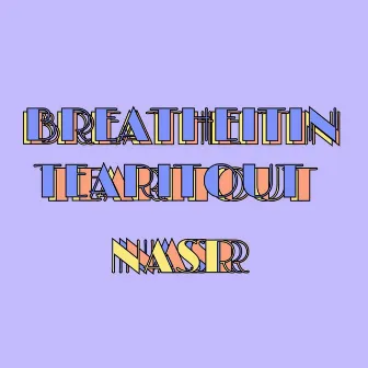 breathe it in tear it out by Nasr