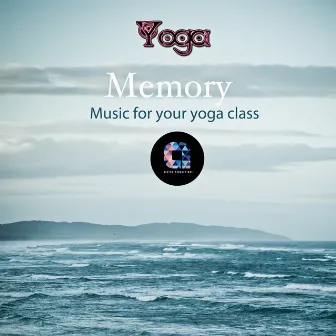 Memory by Vinyasa