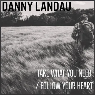 Take What You Need by Danny Landau