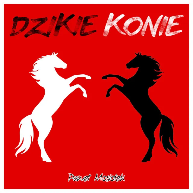 Dzikie konie