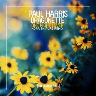 One Night Lover (Nora en Pure Remix) by Paul Harris