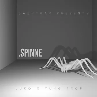 Spinne by Luko