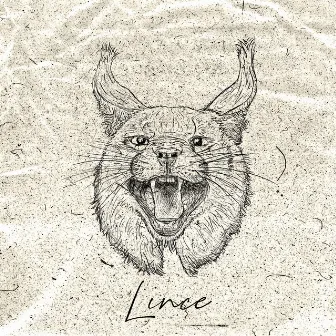 Lince by Jovemsam