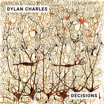 Decisions by Dylan Charles