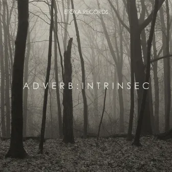 Intrinsec by Adverb