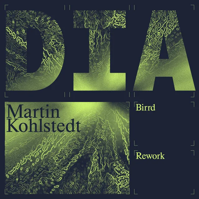 DIA - Birrd Rework