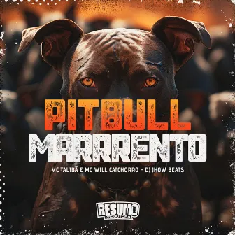 Pitbull Marrento by Mc Will Catchorro