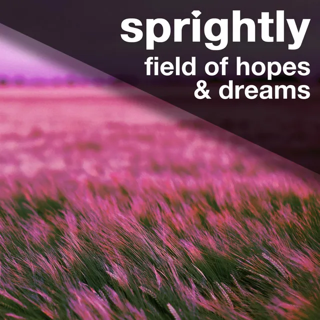 Field of Hopes and Dreams