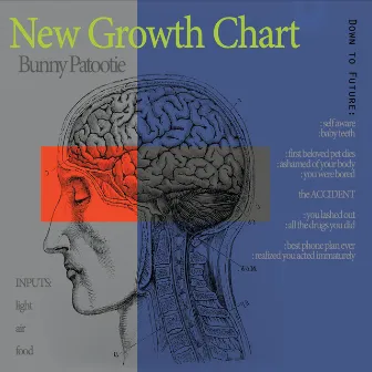 New Growth Chart by Bunny Patootie