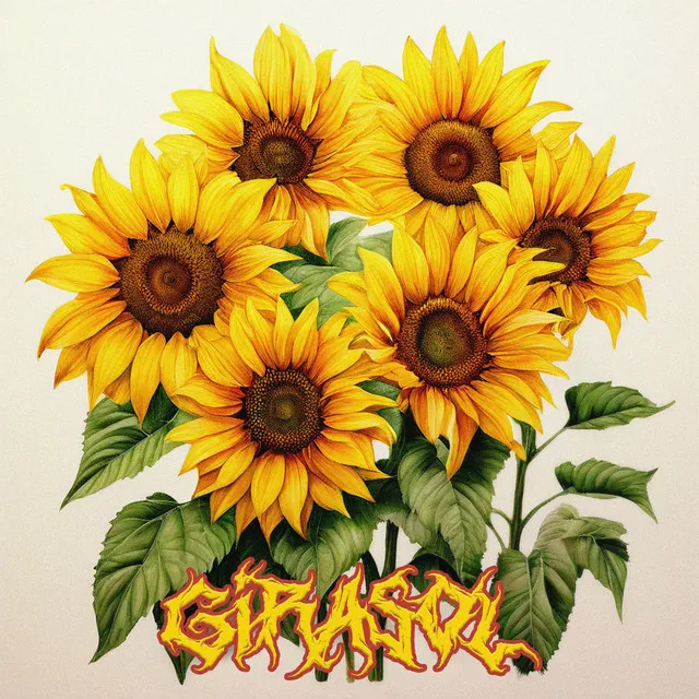 Girasol