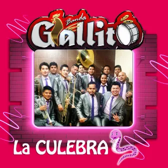 La Culebra (Banda) by Banda Gallito