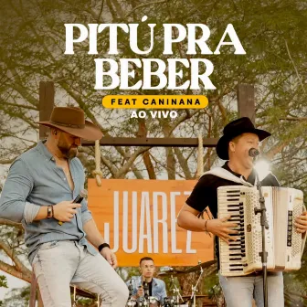 Pitú pra Beber (Ao Vivo) by Juarez