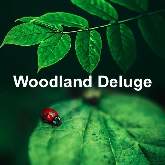 Woodland Deluge by Waters Of Deluge