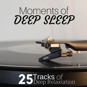 Moments of Deep Sleep: 25 Tracks of Deep Relaxiation for Deep Sleep, Relaxation After Long Day, Nature Sounds by Unknown Artist