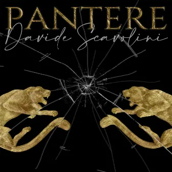 Pantere by Davide Scavolini