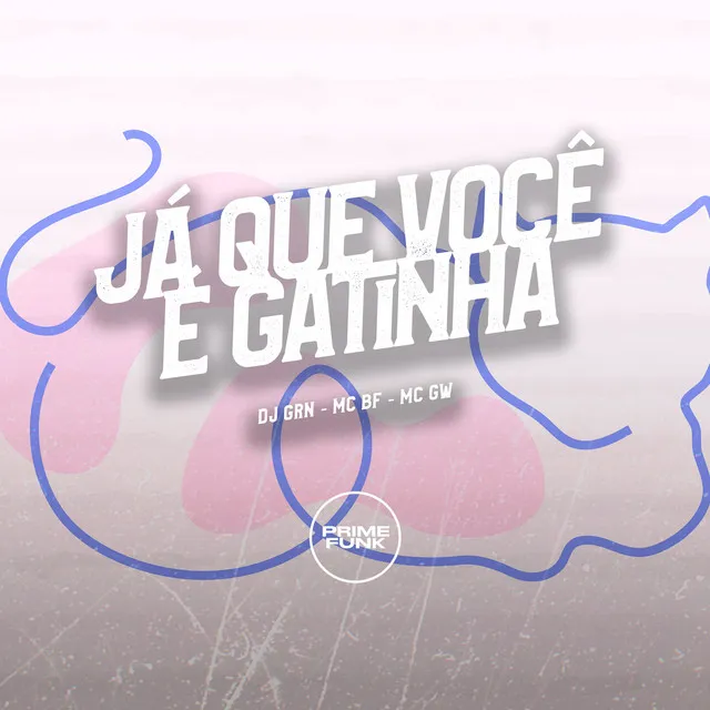 Já Que Você É Gatinha