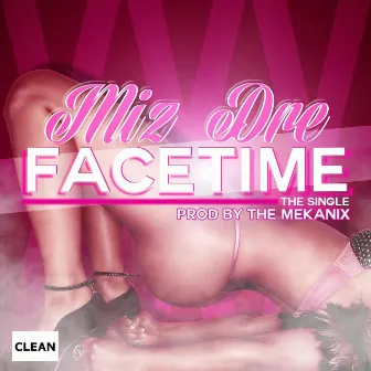 Facetime (feat. The Mekanix) [Clean Radio Version] by Miz Dre