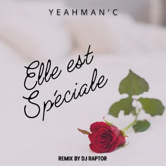 Elle est spéciale (Dj Raptor Remix) by YeahmanC