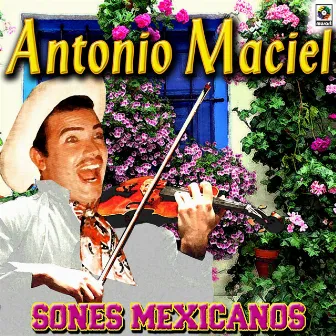 Sones Mexicanos by Antonio Maciel