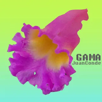 Gama by Juan Conde