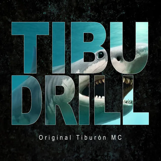 Tibudrill