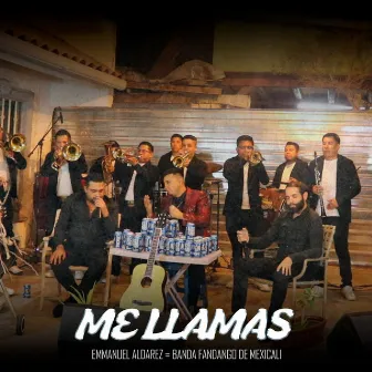 Me Llamas by Banda Fandango De Mexicali