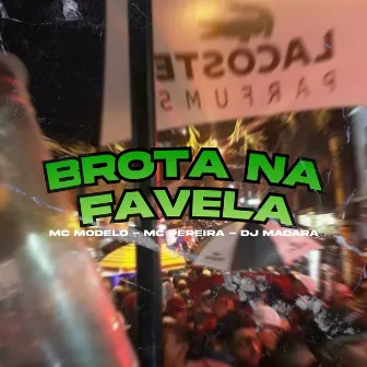 Brota na Favela by MC PEREIRA