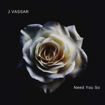 Need You So by J Vassar