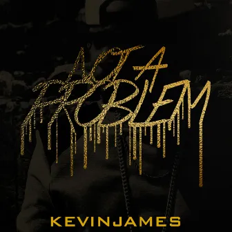 Not a Problem by Kevin James