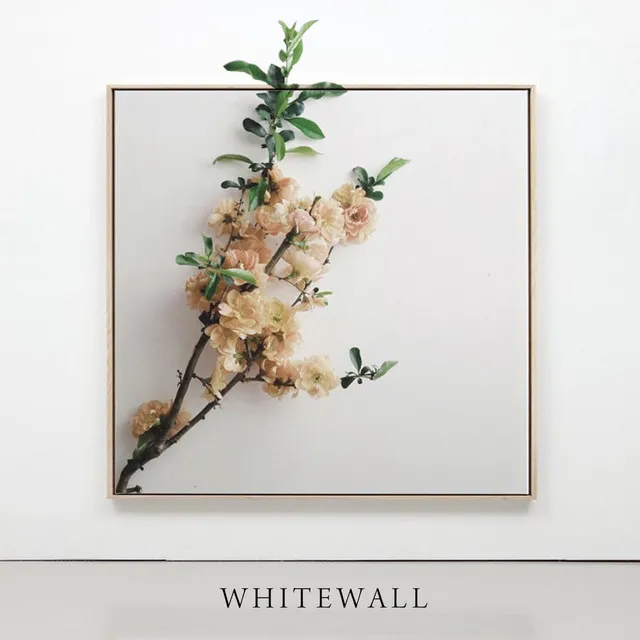 WHITEWALL