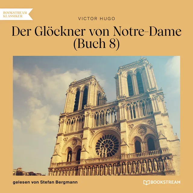 Teil 35 - Der Glöckner von Notre-Dame, Buch 8