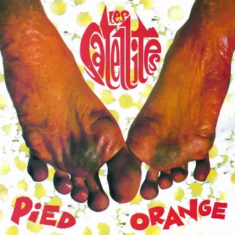 Pied Orange by Les Satellites